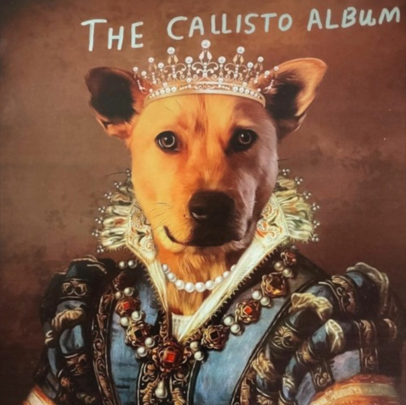 The Ballad Of Callisto by Miller