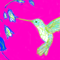 2015.20.16.png