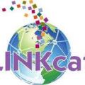 linkcat.jpg